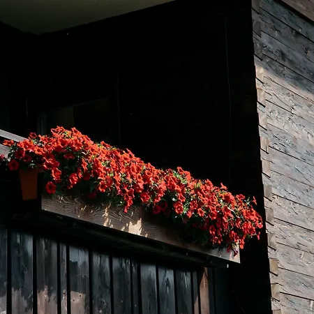 Im Ried Apartment Blaichach